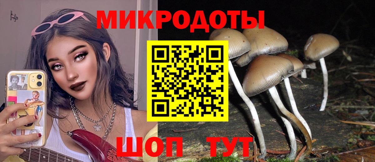 Галлюциногенные грибы ЛСД Бирск