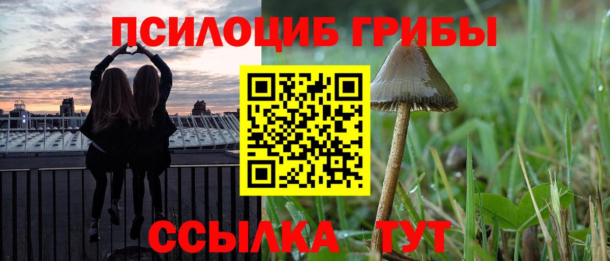 купить   Вход с VPN  Бирск  Галлюциногенные грибы GOLDEN TEACHER 